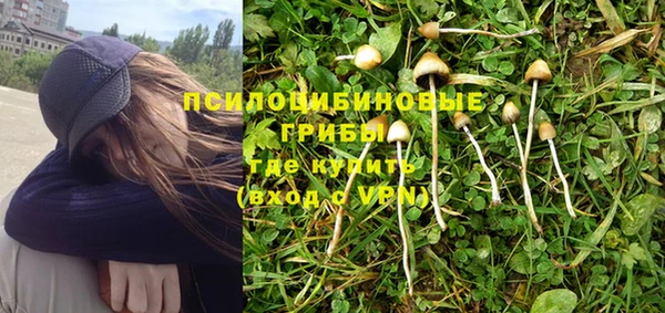 Альфа ПВП Баксан