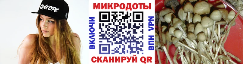 Галлюциногенные грибы прущие грибы  купить наркотики цена  OMG зеркало  Саянск 
